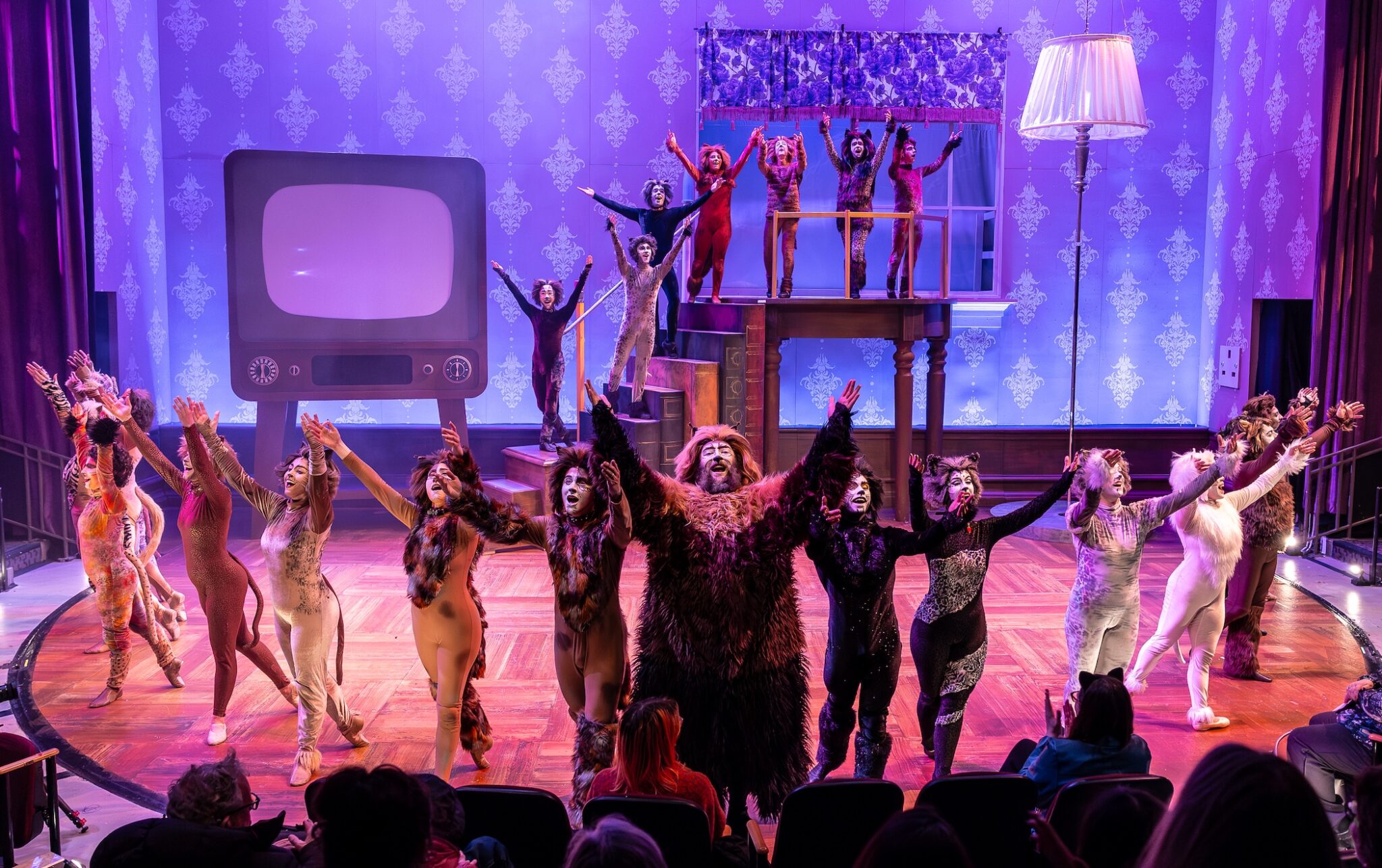 “Cats” – AROUND THE TOWN CHICAGO
