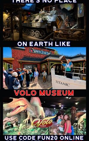 volo, museum, children, kids, family, dinosaurs, fun, enjoyment, summer, discounts, deals
