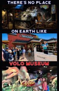volo, museum, children, kids, family, dinosaurs, fun, enjoyment, summer, discounts, deals