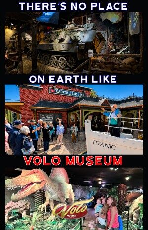 volo, museum, children, kids, family, dinosaurs, fun, enjoyment, summer, discounts, deals