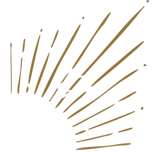 Chicago Welcomes a  NEW Theater Company!   EOS Theatre Company!